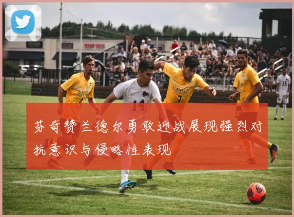 芬奇赞兰德尔勇敢迎战展现强烈对抗意识与侵略性表现